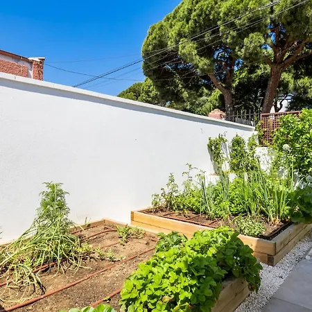 Feriehus Casa Palmeras Marbella